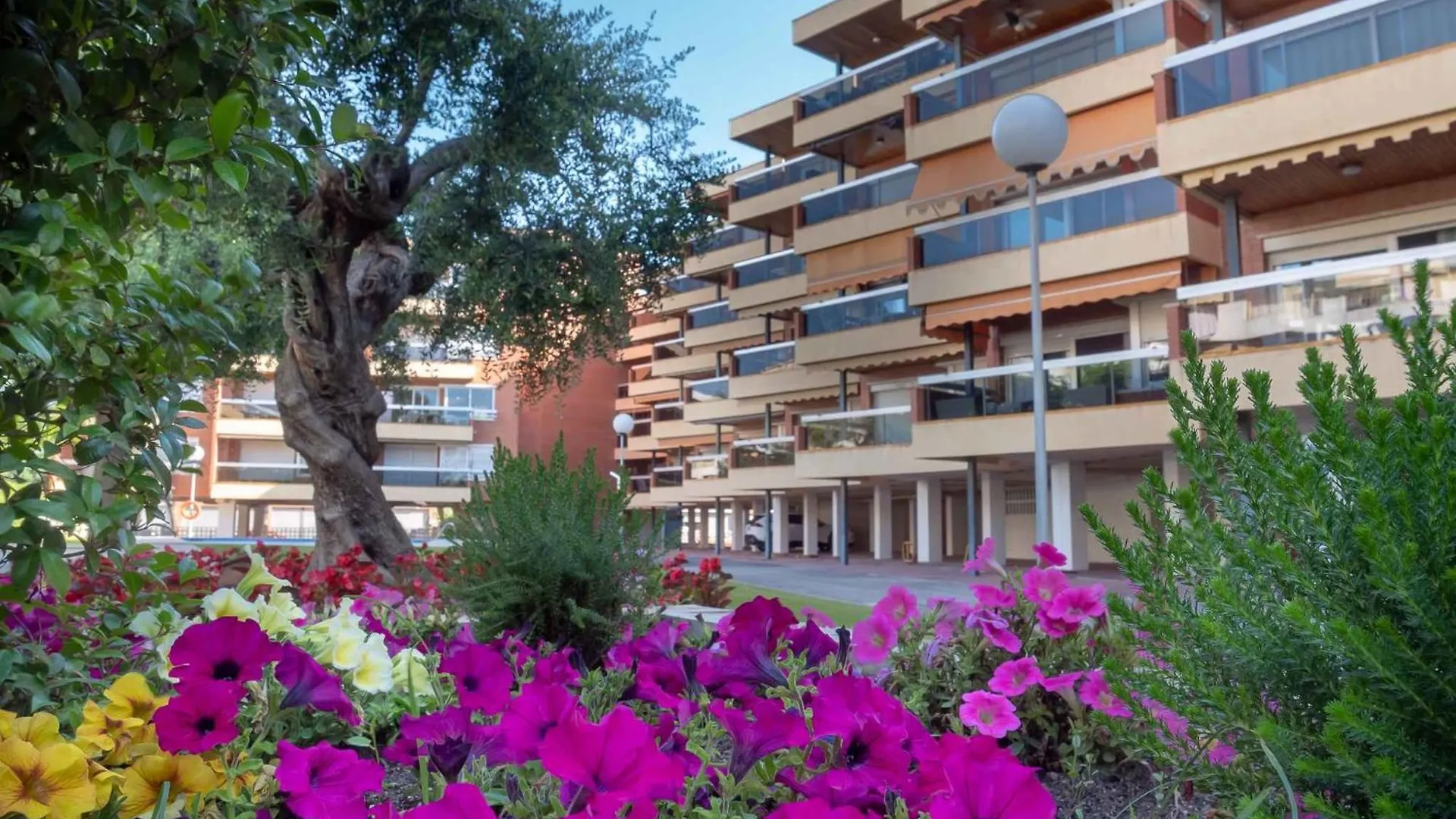 Apartments In Cambrils - Costa Dorada 45732 Spain