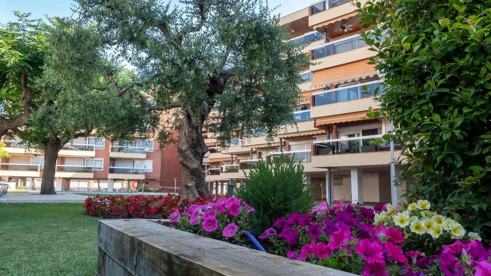 Apartments In Cambrils - Costa Dorada 45732 Spain